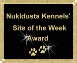Visit and Nominate your favourite Canine Site today....
